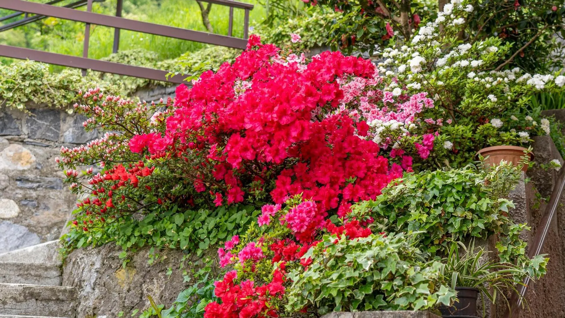 Bellavista Garden And Flowers Varenna Italy